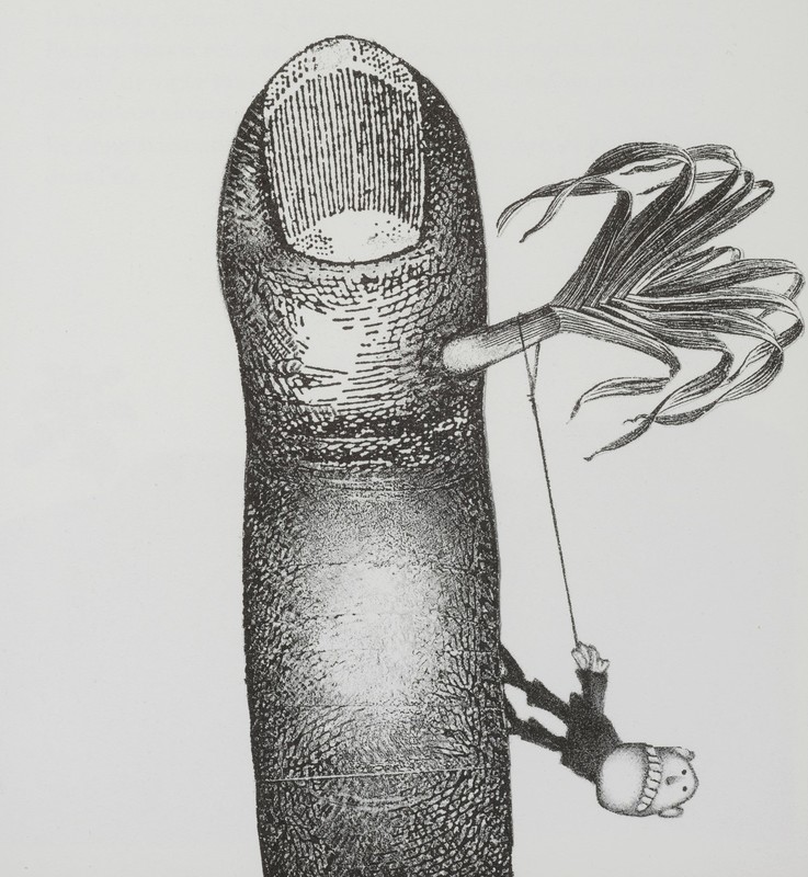 Poireau - verrue.jpg